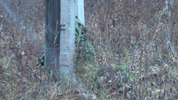    27  2011  -  :: - «» -   -  