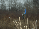     31  2011  -   :: - «» -   -  