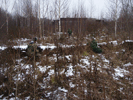    31  2011  - Mass attack :: - «» -   -  