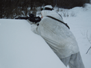   30  2011  - ... :: - «» -   -  