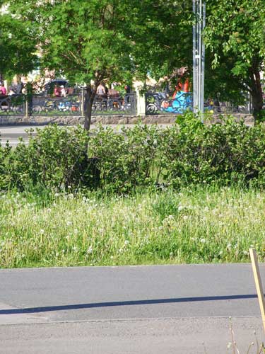 Клубный день 8 июня 2013 года - Найди инфракрасноармейца :: Лазертаг-клуб «Зарница» - организация лазертаг-игр в Перми