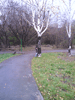    26  2013  -     :: - «» -   -  