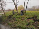    26  2013  -    ... :: - «» -   -  
