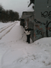   , 21  2015 ,   -   -    :: - «» -   -  