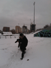   , 21  2015 ,   -     -    :: - «» -   -  