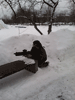    , 21  2015 ,   -   -   :: - «» -   -  