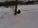    , 21  2015 ,   -    :: - «» -   -  