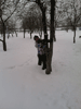    , 21  2015 ,   -    :: - «» -   -  