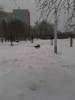    , 21  2015 ,   -   ... :: - «» -   -  