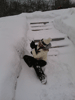    , 21  2015 ,   -    :: - «» -   -  