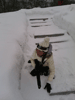   , 21  2015 ,   -   :: - «» -   -  