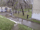      18  2015  -  ... :: - «» -   -  