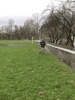     18  2015  :: - «»  -  -  