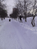     22  2016  -   :: - «» -   -  