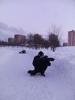     22  2016  -    :: - «» -   -  