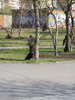     2013  -  -  ... :: - «» -   -  